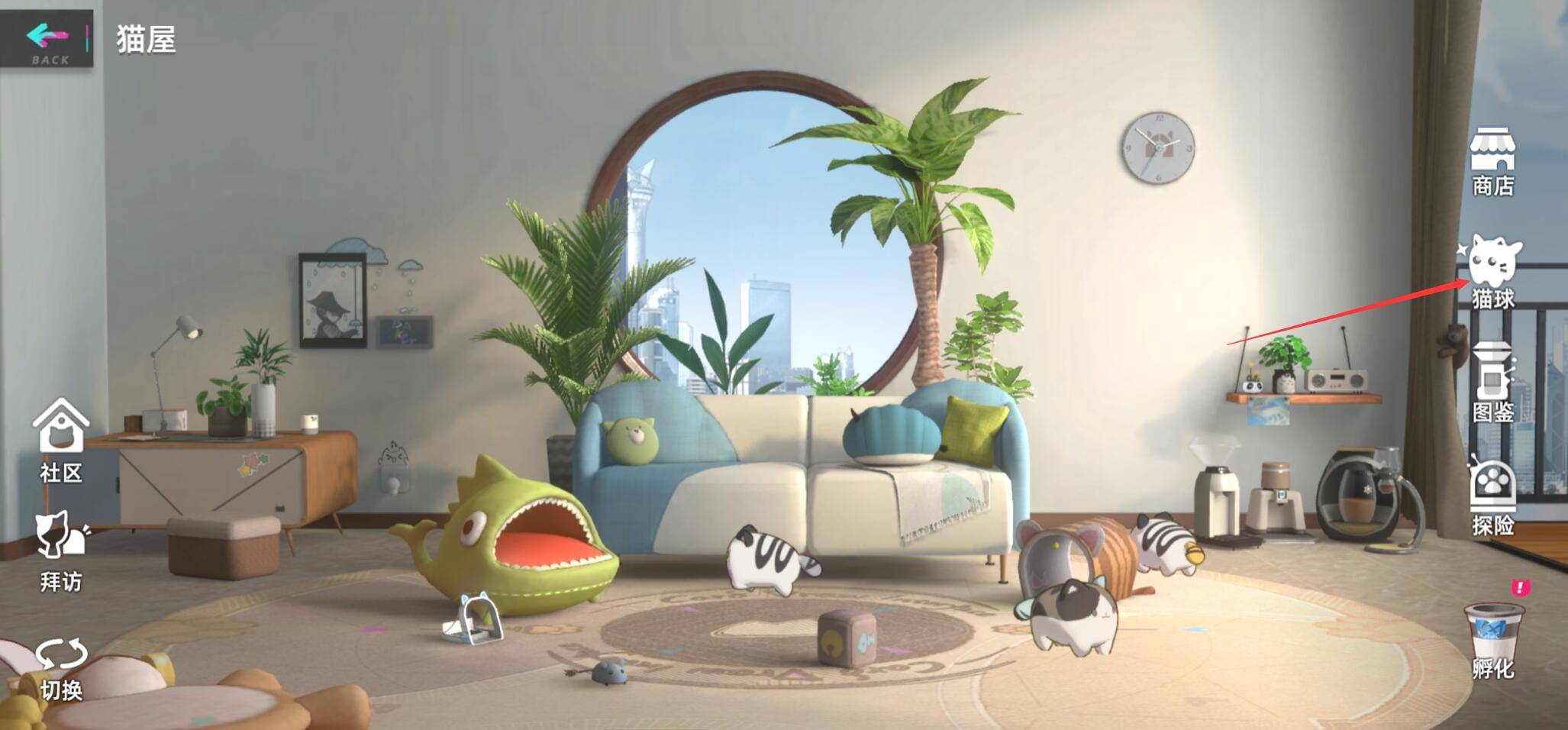 猫之城猫屋中猫球怎么放置