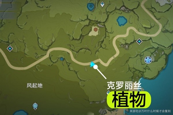 本站