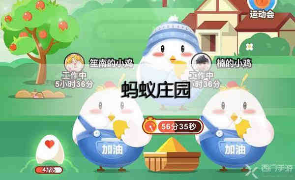 送花别弄混了，叶片小而密集的是玫瑰还是月季