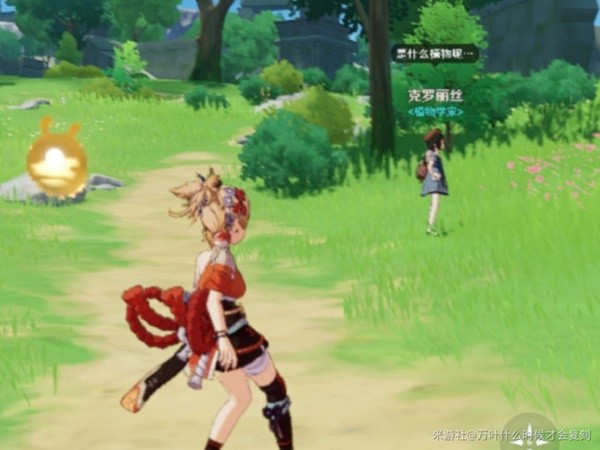 本站