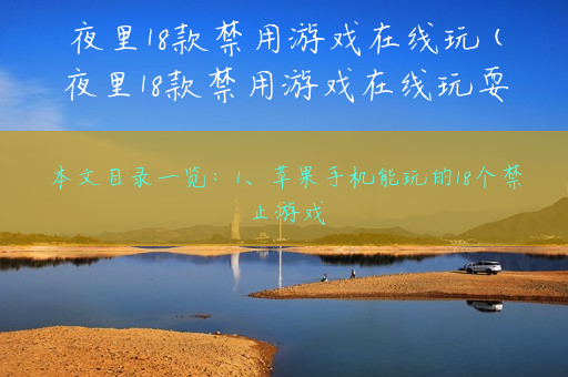 夜里18款禁用游戏在线玩(夜里18款禁用游戏在线玩耍)