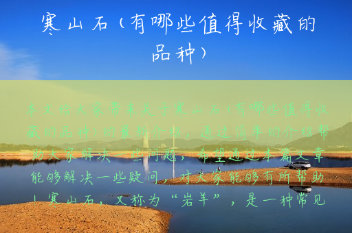 寒山石(有哪些值得收藏的品种)