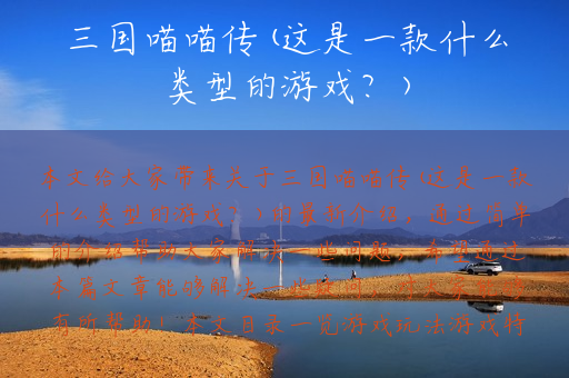 三国喵喵传(这是一款什么类型的游戏？)