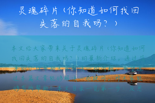 灵魂碎片(你知道如何找回失落的自我吗？)