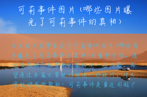 可莉事件图片(哪些图片曝光了可莉事件的真相)