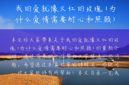 我的爱就像火红的玫瑰(为什么爱情需要耐心和照顾)