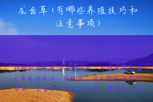 龙齿草(有哪些养殖技巧和注意事项)