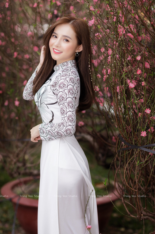绿茶大全(绿茶大全图片大全)