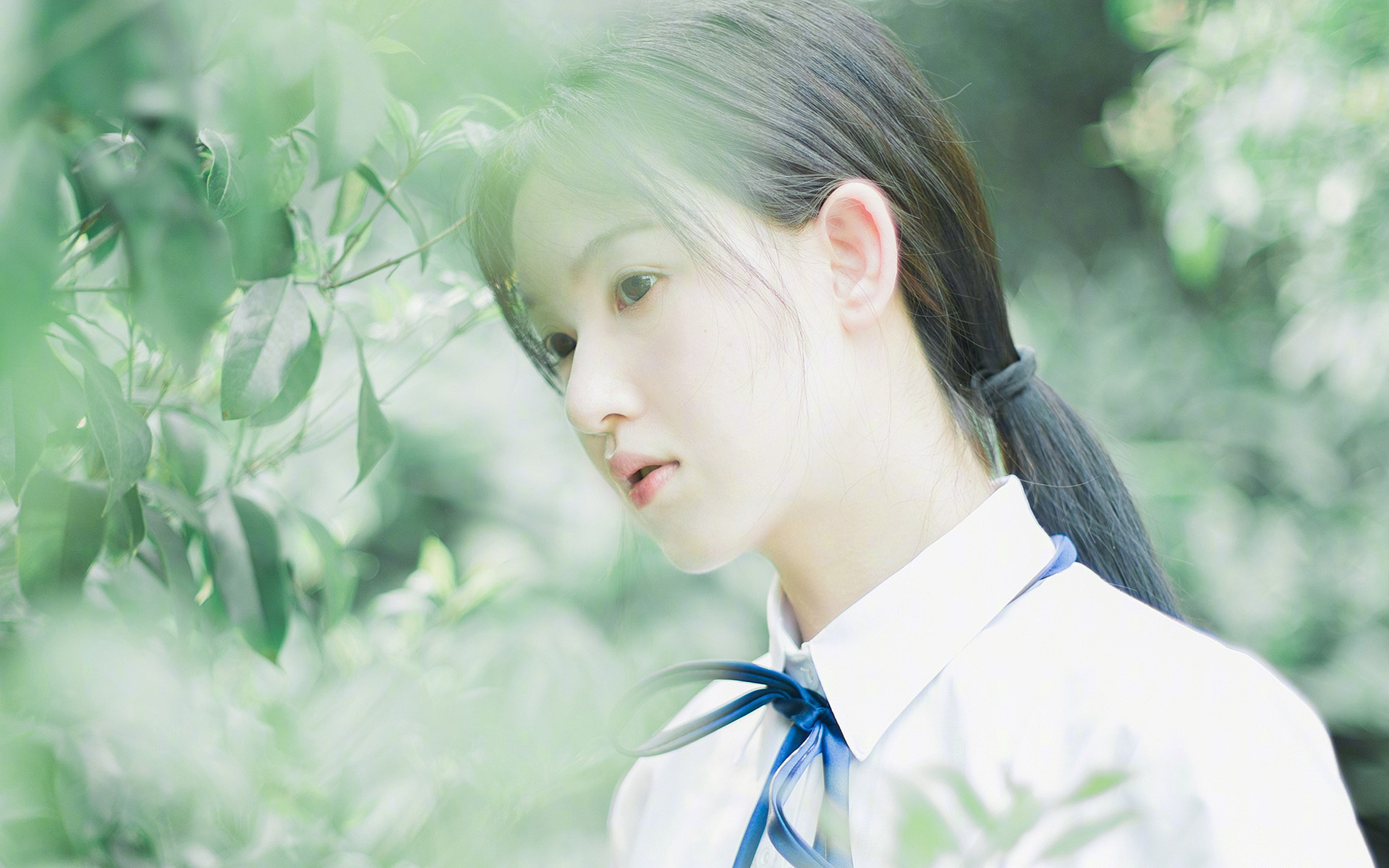 免费听歌下载歌曲的软件(下载免费听歌大全)