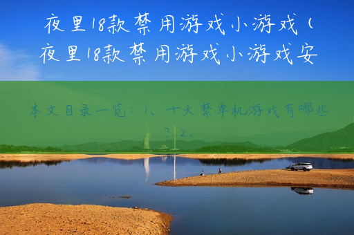 夜里18款禁用游戏小游戏(夜里18款禁用游戏小游戏安卓)