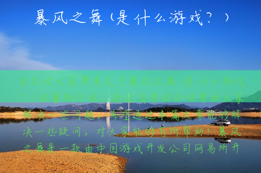 暴风之舞(是什么游戏？)