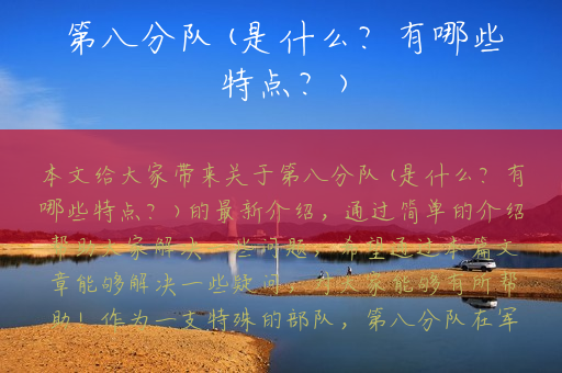 第八分队(是什么？有哪些特点？)