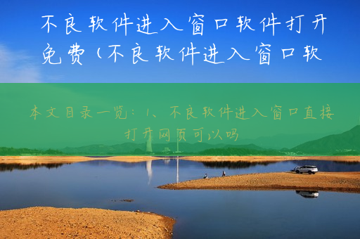 不良软件进入窗口软件打开免费(不良软件进入窗口软件打开免费正)