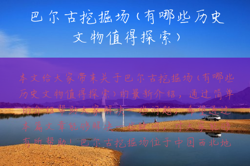 巴尔古挖掘场(有哪些历史文物值得探索)