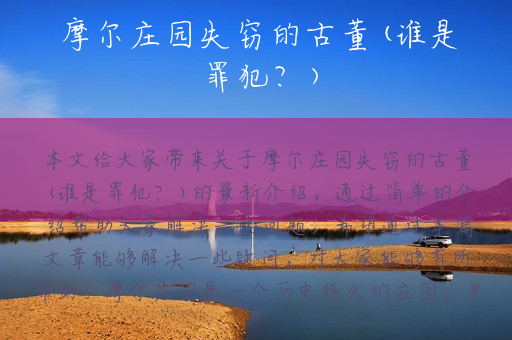 摩尔庄园失窃的古董(谁是罪犯？)