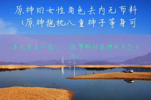 原神的女性角色去内无布料(原神抱枕八重神子等身可插款)