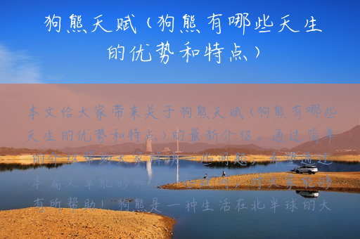狗熊天赋(狗熊有哪些天生的优势和特点)