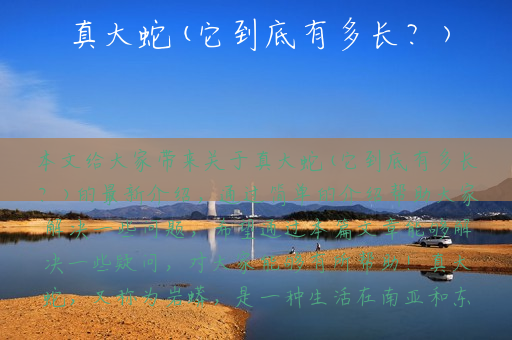 真大蛇(它到底有多长？)