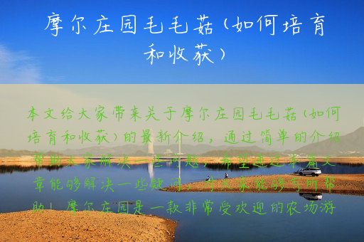 摩尔庄园毛毛菇(如何培育和收获)