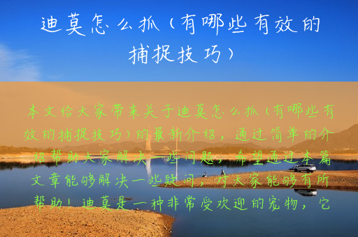 迪莫怎么抓(有哪些有效的捕捉技巧)