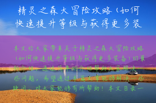 精灵之森大冒险攻略(如何快速提升等级与获得更多装备)
