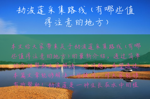 劫波莲采集路线(有哪些值得注意的地方)