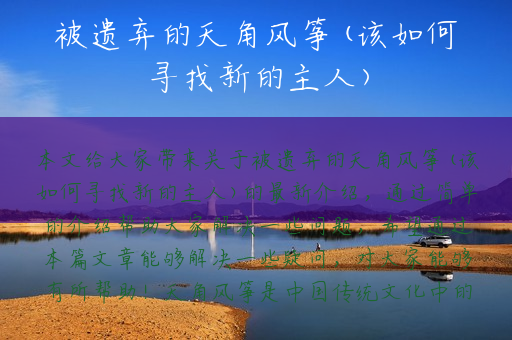 被遗弃的天角风筝(该如何寻找新的主人)