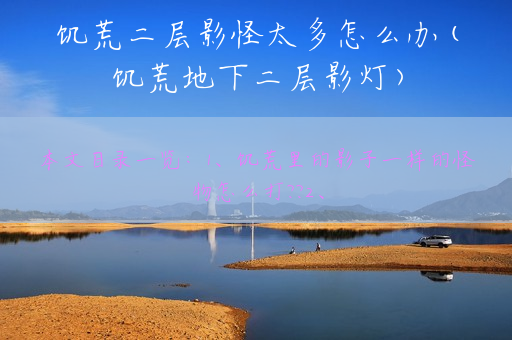 饥荒二层影怪太多怎么办(饥荒地下二层影灯)