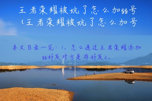 王者荣耀被坑了怎么加qq号(王者荣耀被坑了怎么加号码)