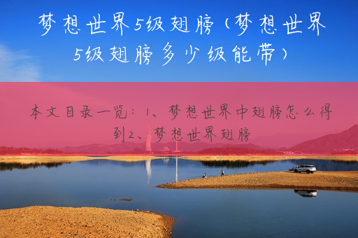 梦想世界5级翅膀(梦想世界5级翅膀多少级能带)