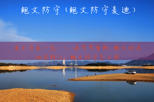 鲍文防守(鲍文防守麦迪)