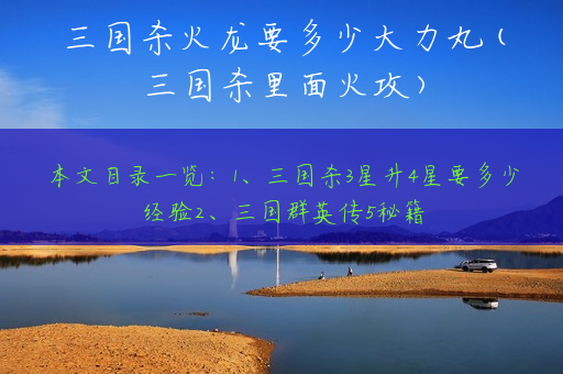 三国杀火龙要多少大力丸(三国杀里面火攻)