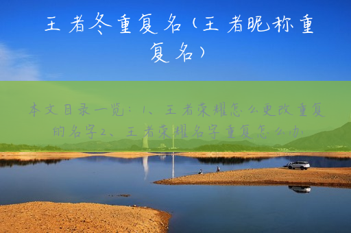 王者冬重复名(王者昵称重复名)