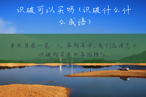 识破可以买吗(识破什么什么成语)
