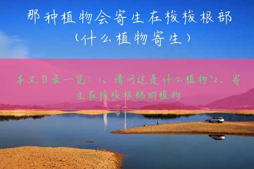 那种植物会寄生在梭梭根部(什么植物寄生)