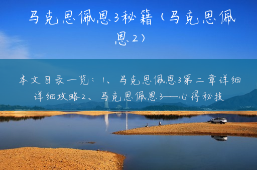 马克思佩恩3秘籍(马克思佩恩2)