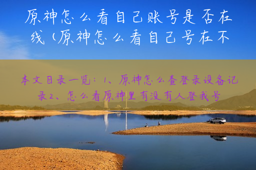 原神怎么看自己账号是否在线(原神怎么看自己号在不在线)