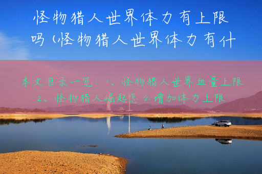 怪物猎人世界体力有上限吗(怪物猎人世界体力有什么用)