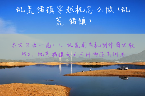 饥荒猪镇穿越机怎么做(饥荒 猪镇)