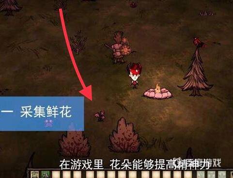 饥荒无限物品版 饥荒无限物品版