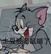 黑色星期五之夜错误化汤姆猫