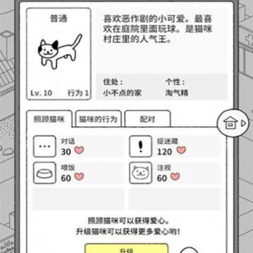 猫咪公社