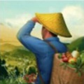 夺笋高手免广告版