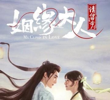 姻缘大人请留步完整版