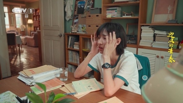 全景TV电视版