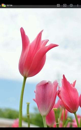 nikon image spaceAPP特色