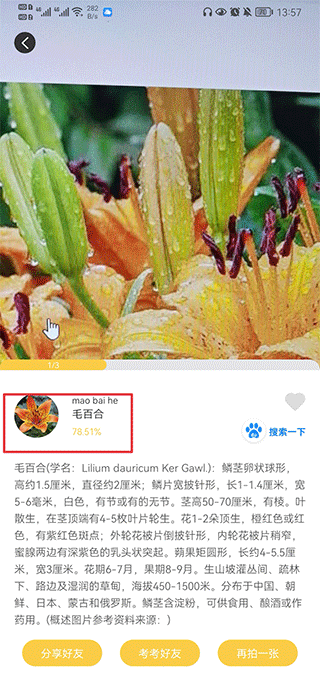 搏牛拍照识物手机版