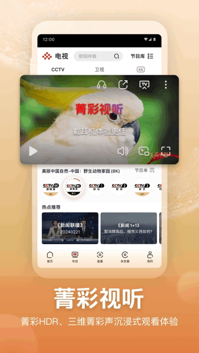 央视频HDapp2025最新版下载安装