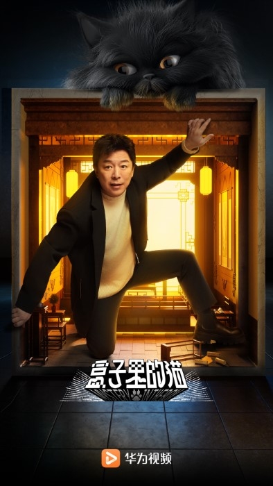 华为视频app2024最新版下载安装