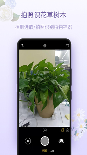 拍照识花神器手机版